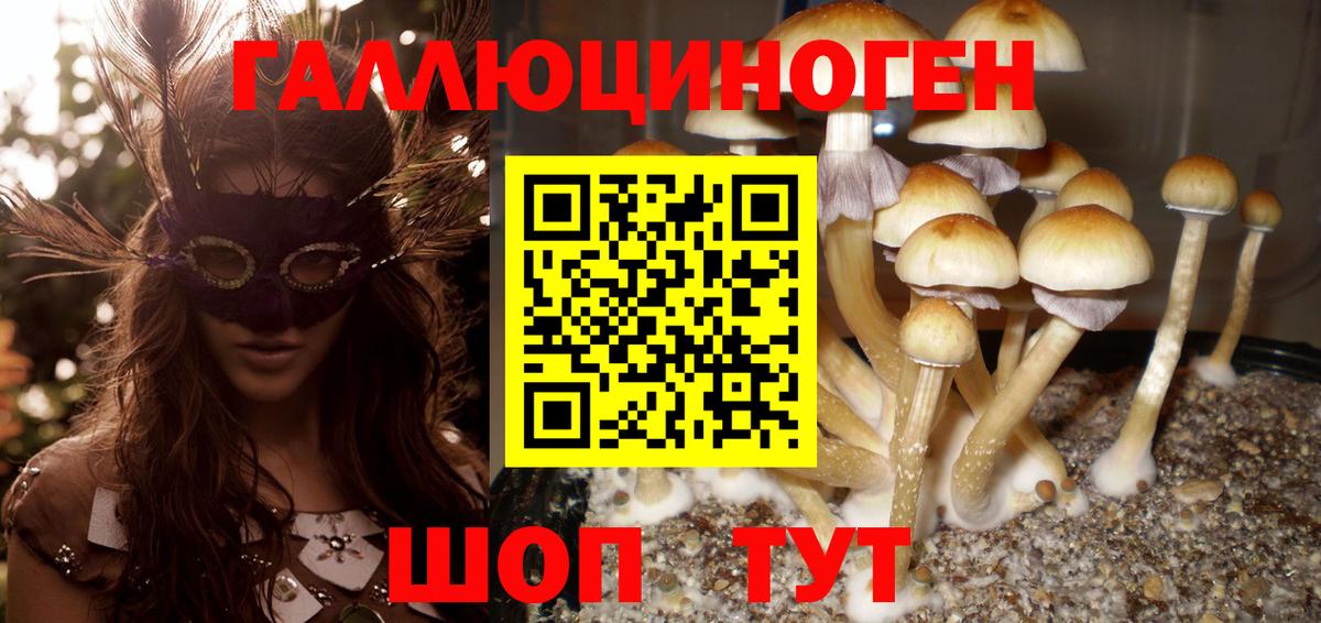 Псилоцибиновые грибы Cubensis Чебаркуль